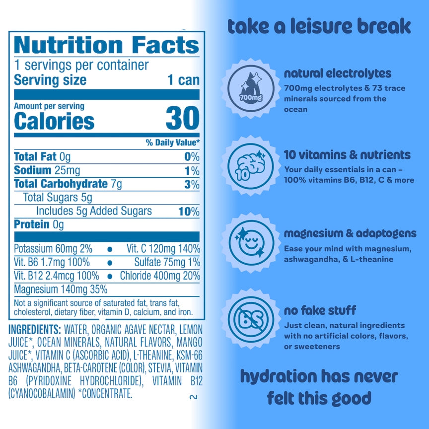 Leisure Wild Blueberry Electrolyte Refresher – 16 oz, 12-Pack